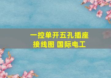 一控单开五孔插座接线图 国际电工